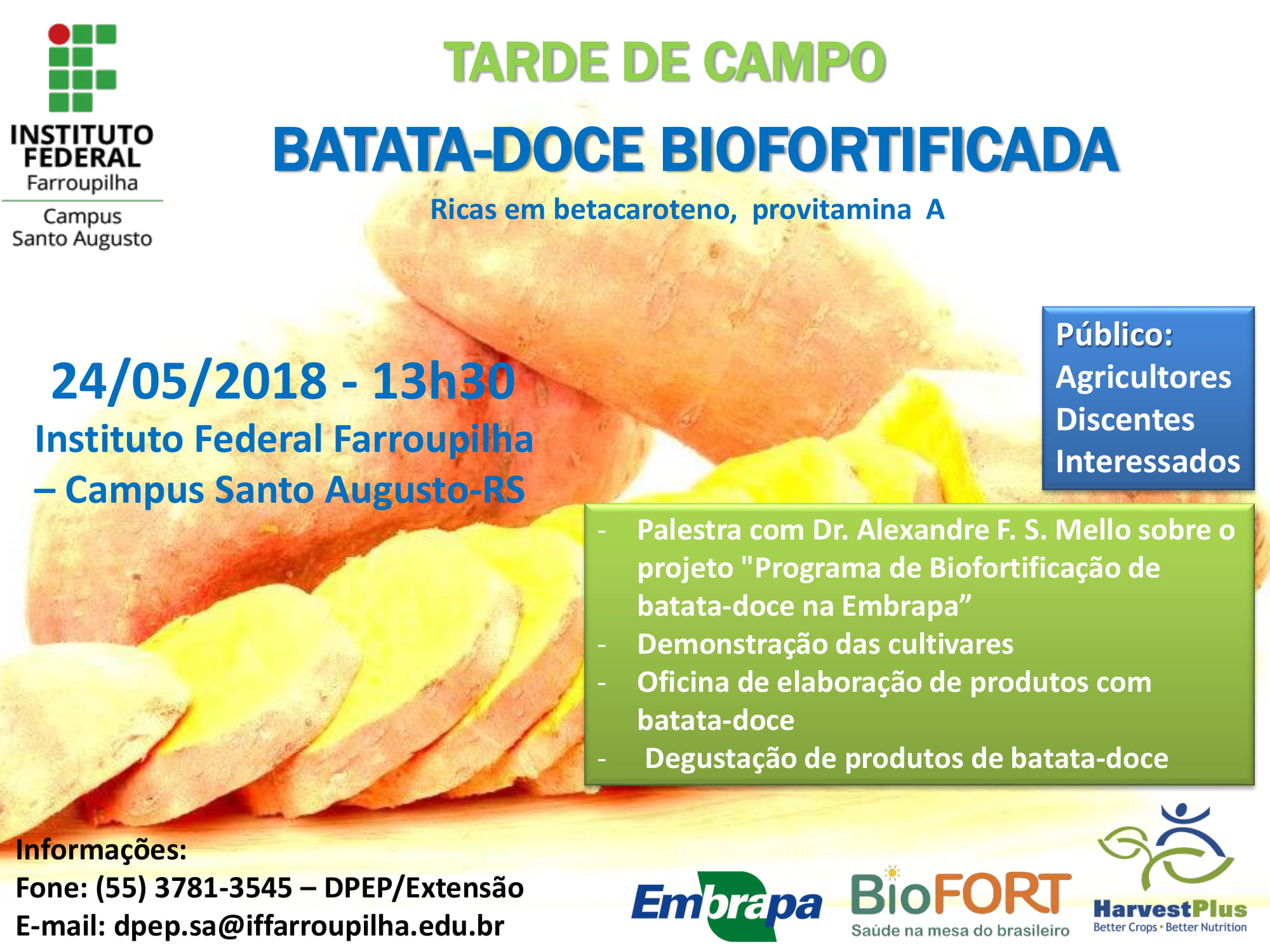 Convite tarde de Campo da Batata doce biofortificada v2 1