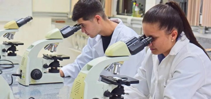 ensinoCiências notícia1302026