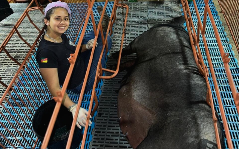 Larissa Medeiros 3 800 x 500 px 1