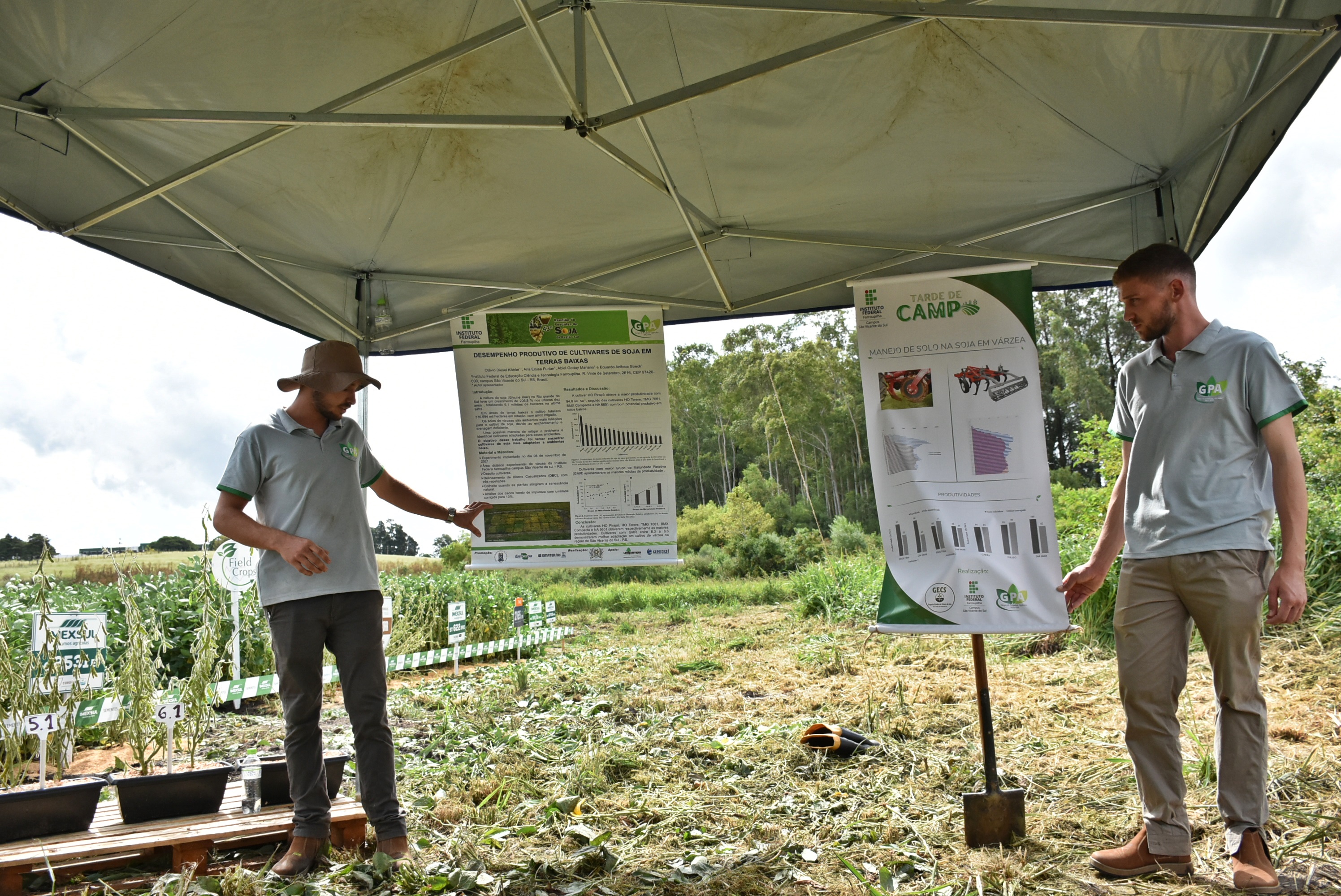 Tarde de Campo apresenta experimentos e pesquisas nas culturas da soja e do  arroz - IFFar