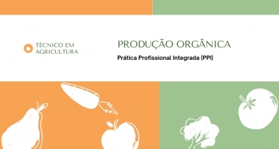 Produção orgânica de frutas, hortaliças e grãos