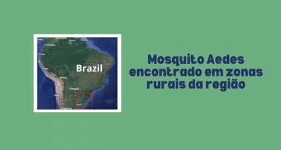 Mosquito do Aedes localizado também na zona rural de Panambi e região