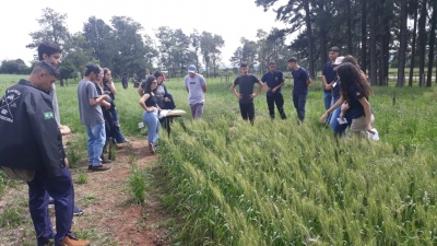 IFFar Campus Jaguari