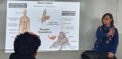 Leishmaniose: Doença negligenciada que afeta humanos e cães