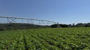 IFFar inicia execução de projeto para avaliar indicadores de sistema de irrigação Click to enlarge image IMG_7833.JPG