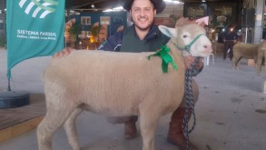 Ovino do Campus SVS é premiado em feira nacional Ovino do Campus SVS é premiado em feira nacional